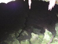 otta Intraleo-20100515 022